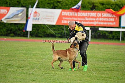 Spitting Fire's Carbono