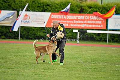 Spitting Fire's Carbono