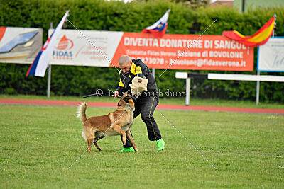 Spitting Fire's Carbono