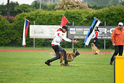 Spitting Fire's Carbono