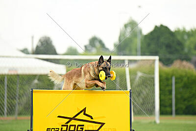 Spitting Fire's Carbono