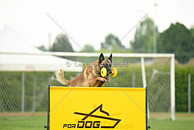 Spitting Fire's Carbono