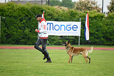 Spitting Fire's Carbono