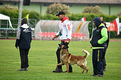 Spitting Fire's Carbono