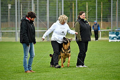 Steiner vom Padberg