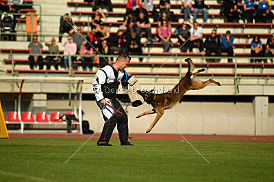 Storm Marinchuk K-9