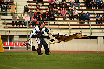 Storm Marinchuk K-9