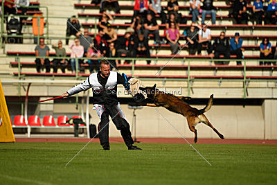 Storm Marinchuk K-9