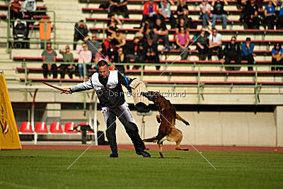 Storm Marinchuk K-9