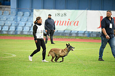 Stylish Motion's Apple