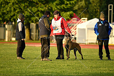 Sultan Malina Ze Szczecina