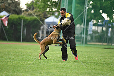 Sultan Malina Ze Szczecina