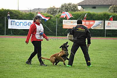 Sultan Malina Ze Szczecina