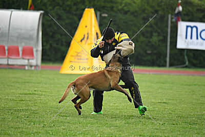 Sultan Malina Ze Szczecina