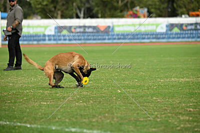 Sultan Malina Ze Szczecina