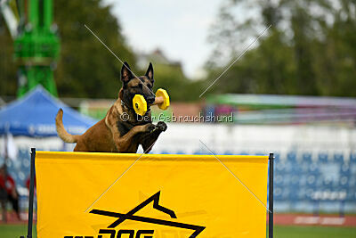 Sultan Malina Ze Szczecina