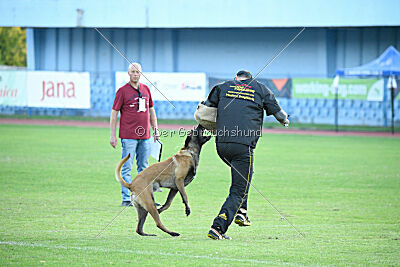 Sultan Malina Ze Szczecina