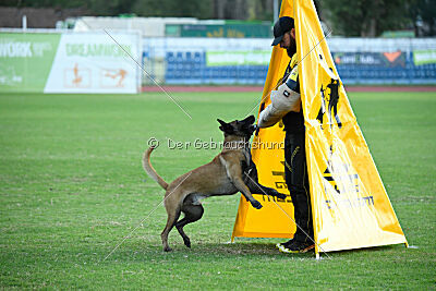 Sultan Malina Ze Szczecina