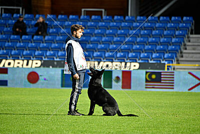 T-Lothar vom Hause Meraner