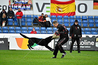 T-Lothar vom Hause Meraner