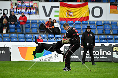 T-Lothar vom Hause Meraner