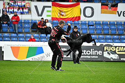 T-Lothar vom Hause Meraner