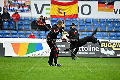 T-Lothar vom Hause Meraner