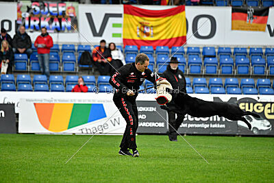 T-Lothar vom Hause Meraner