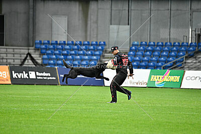 T-Lothar vom Hause Meraner