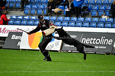 T-Lothar vom Hause Meraner