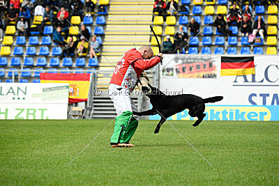 T-Lothar vom Hause Meraner