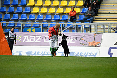 T-Lothar vom Hause Meraner