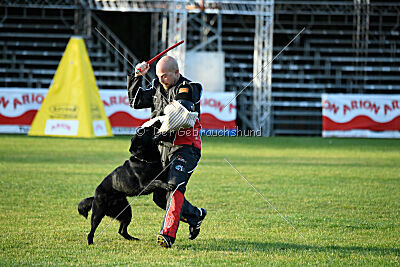 T-Lothar vom Hause Meraner