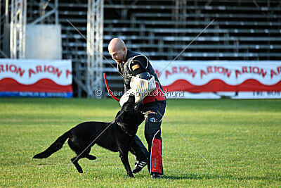 T-Lothar vom Hause Meraner