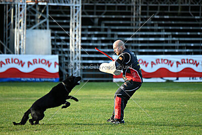 T-Lothar vom Hause Meraner