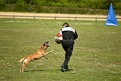 Tabasco vom Holzhäuser Flur