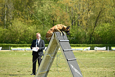 Tabasco vom Holzhäuser Flur