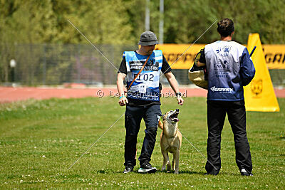 Tämä on Ihmeellinen