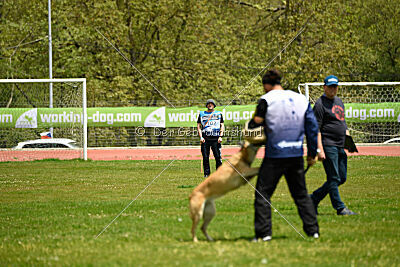 Tämä on Ihmeellinen