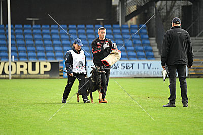 Tagzvondeni Branden