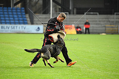 Tagzvondeni Branden