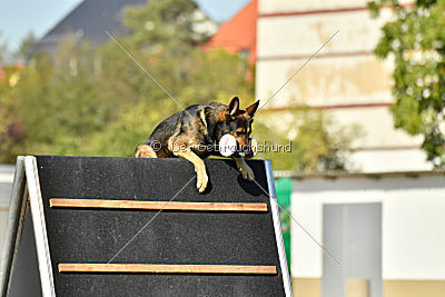 Takker vom Fluchtweg