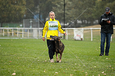 Taro von Burg Tiersperg