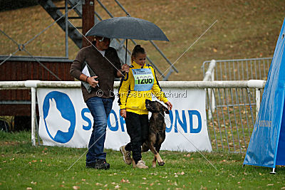 Taro von Burg Tiersperg