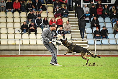 Taro von Burg Tiersperg