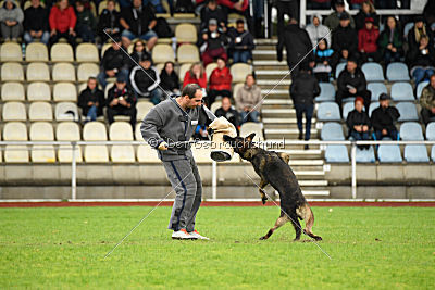 Taro von Burg Tiersperg