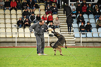 Taro von Burg Tiersperg