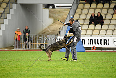 Taro von Burg Tiersperg