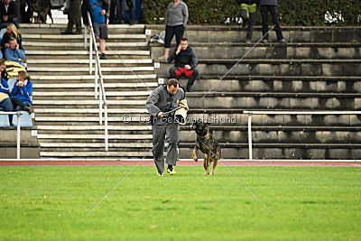 Taro von Burg Tiersperg