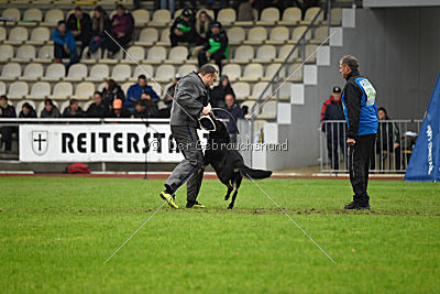 Taro von den Wölfen